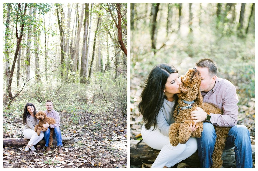 Fall family photo shoot with dog